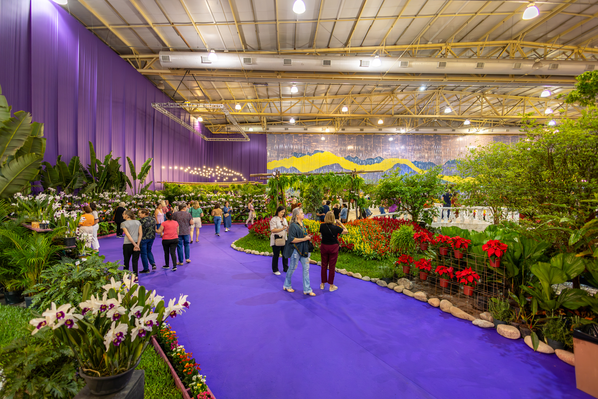 Visitantes caminham por um corredor roxo entre canteiros de orquídeas, flores e plantas dentro de um pavilhão.